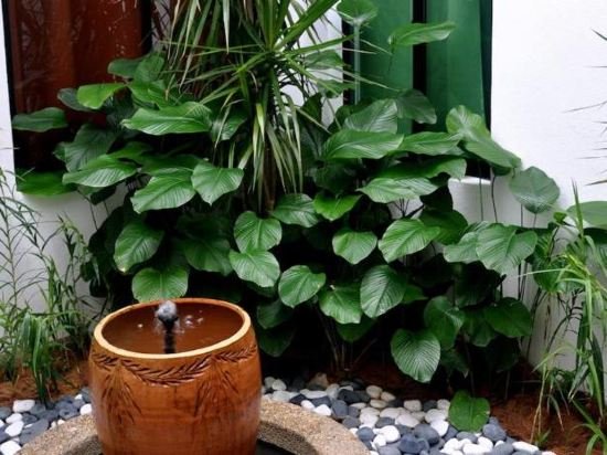 Фото Sunflower House