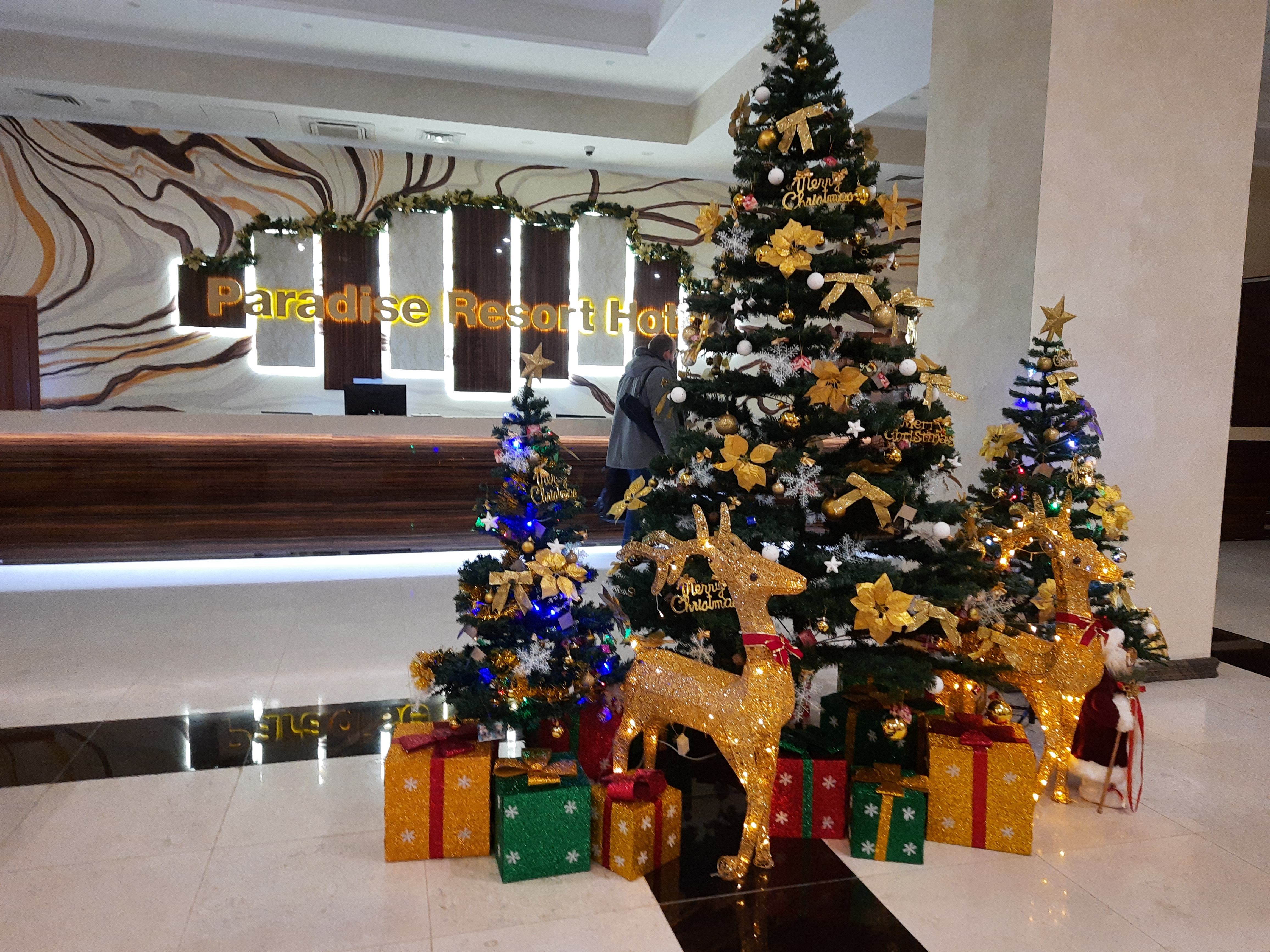 Фото Paradise Resort Hotel