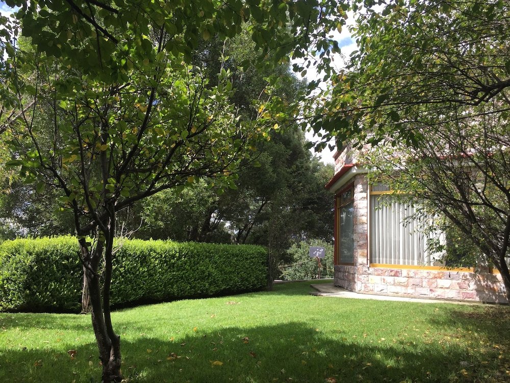 Фото 243559828724