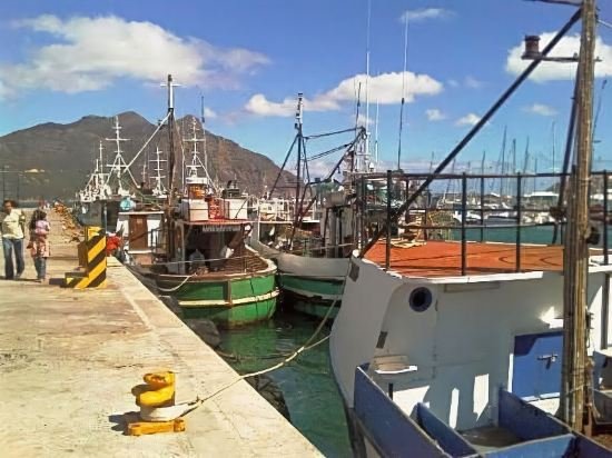 Фото Seacliffe Lodge