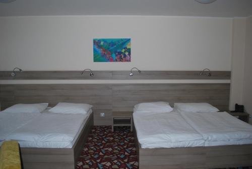 Фото Hotel Arena