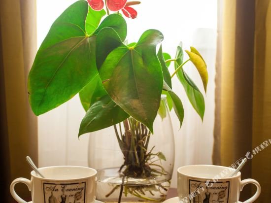 Фото Vienna Hotel Shanghai Puong Jinqiao Park