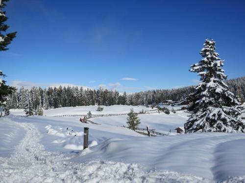 Фото Hotel Waldheim