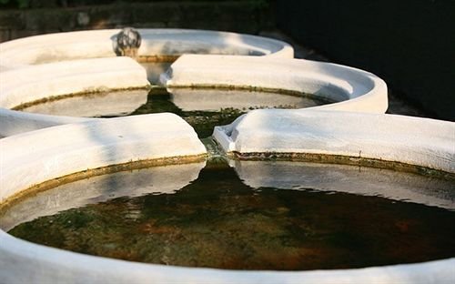 Фото Hotel Garden Terme