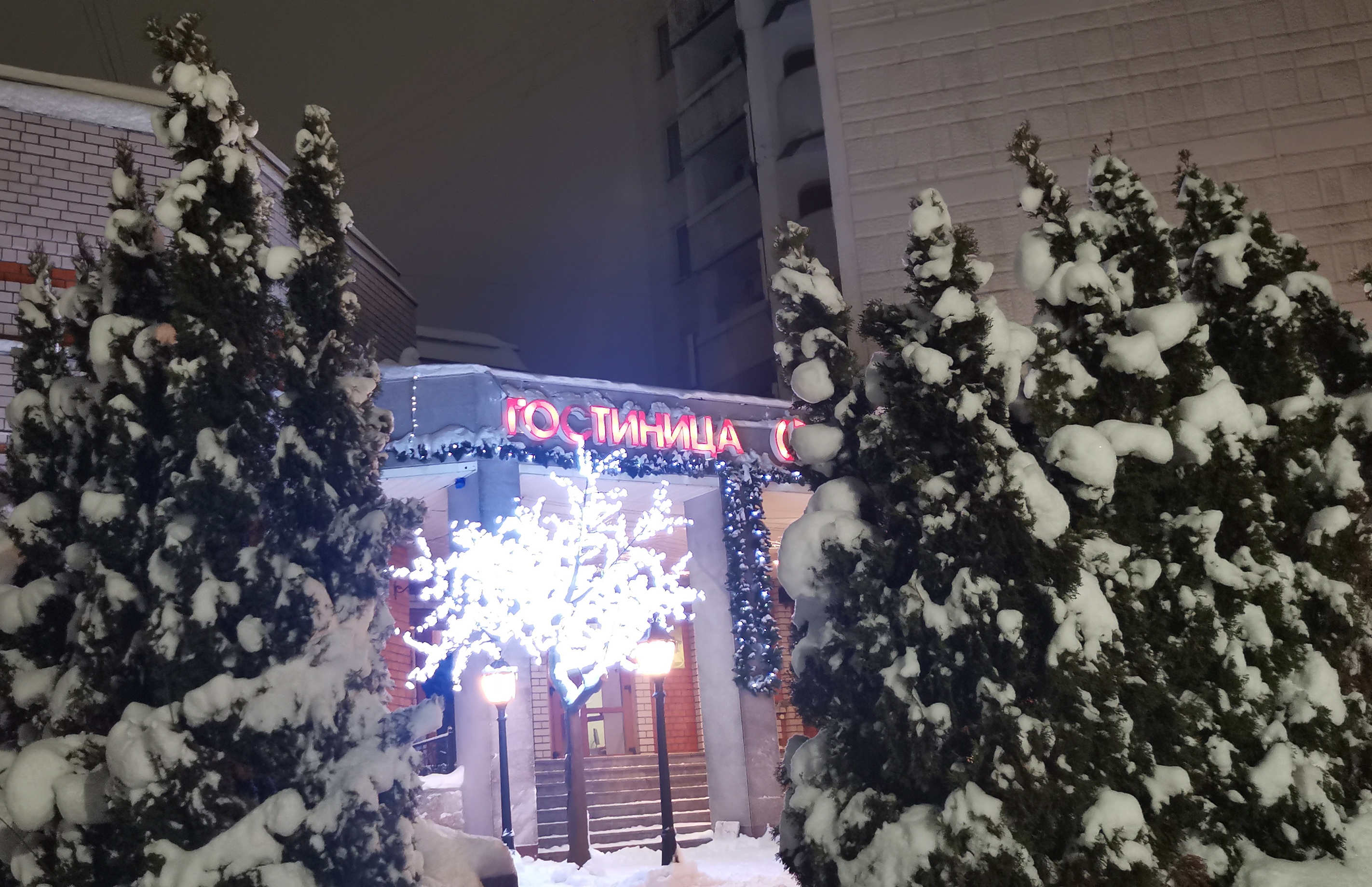 Фото Светлица