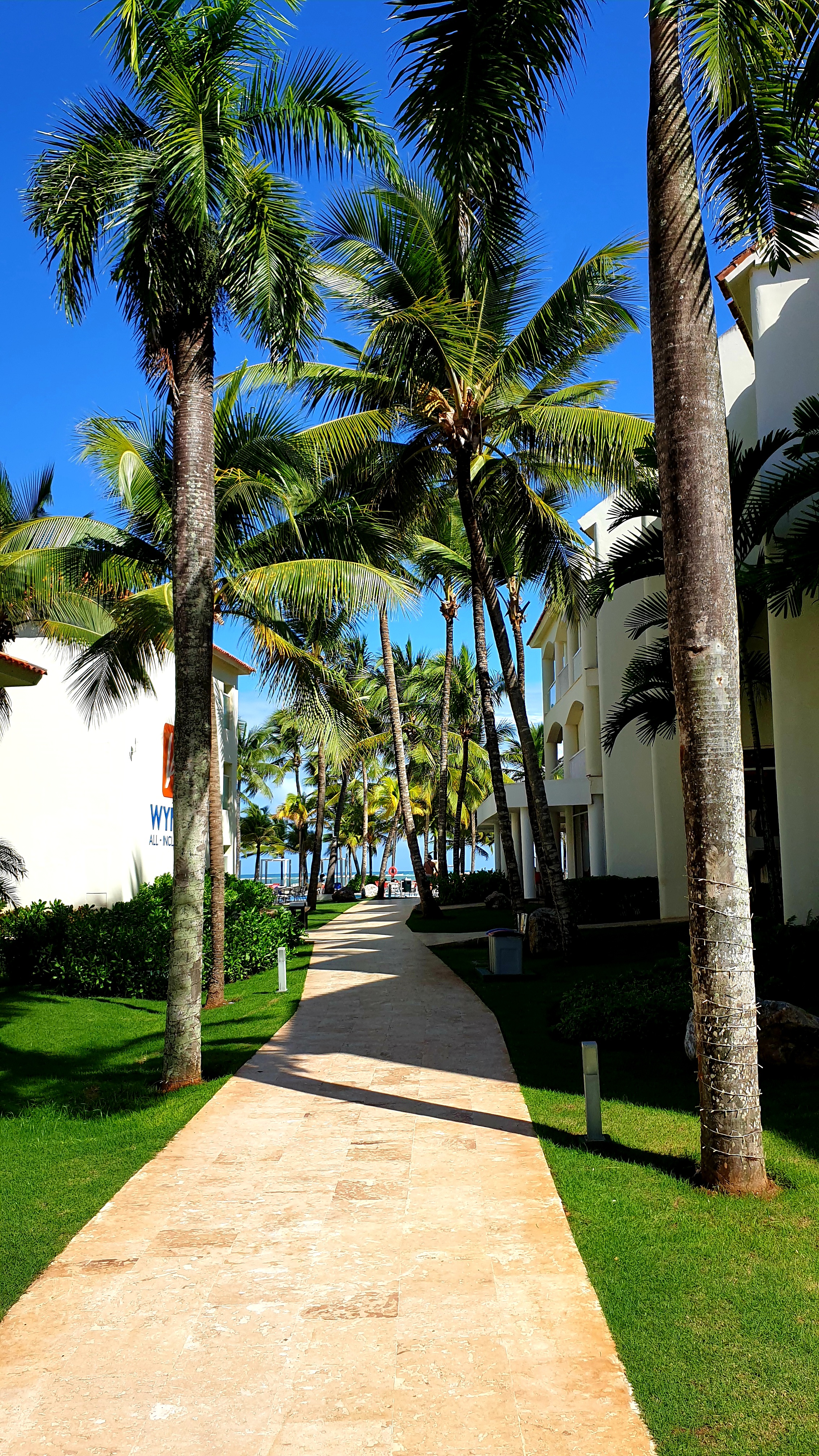 Фото Viva Tangerine by Wyndham, A Trademark All Inclusive