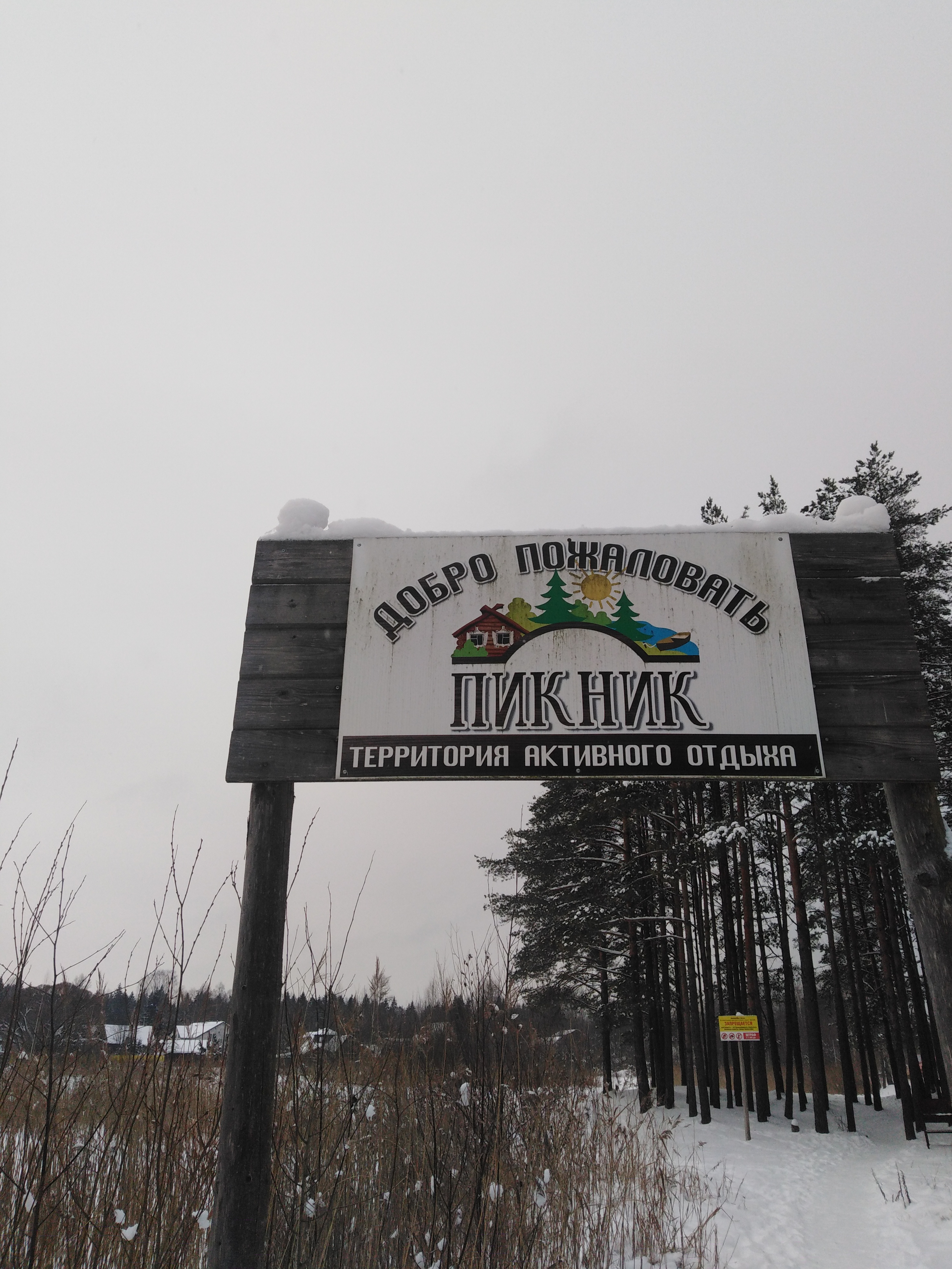 Фото Пикник