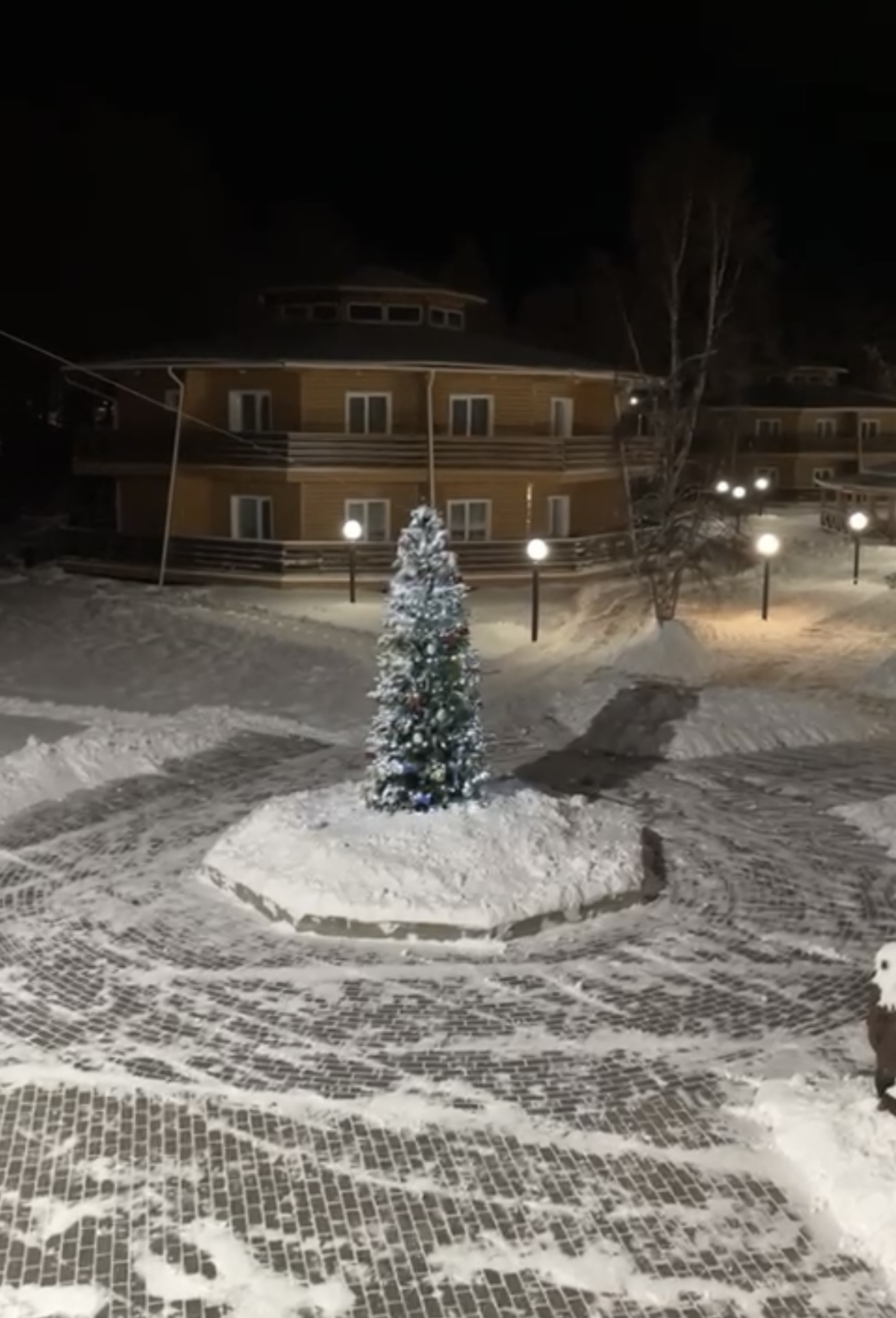 Фото Парк Сагаан Морин