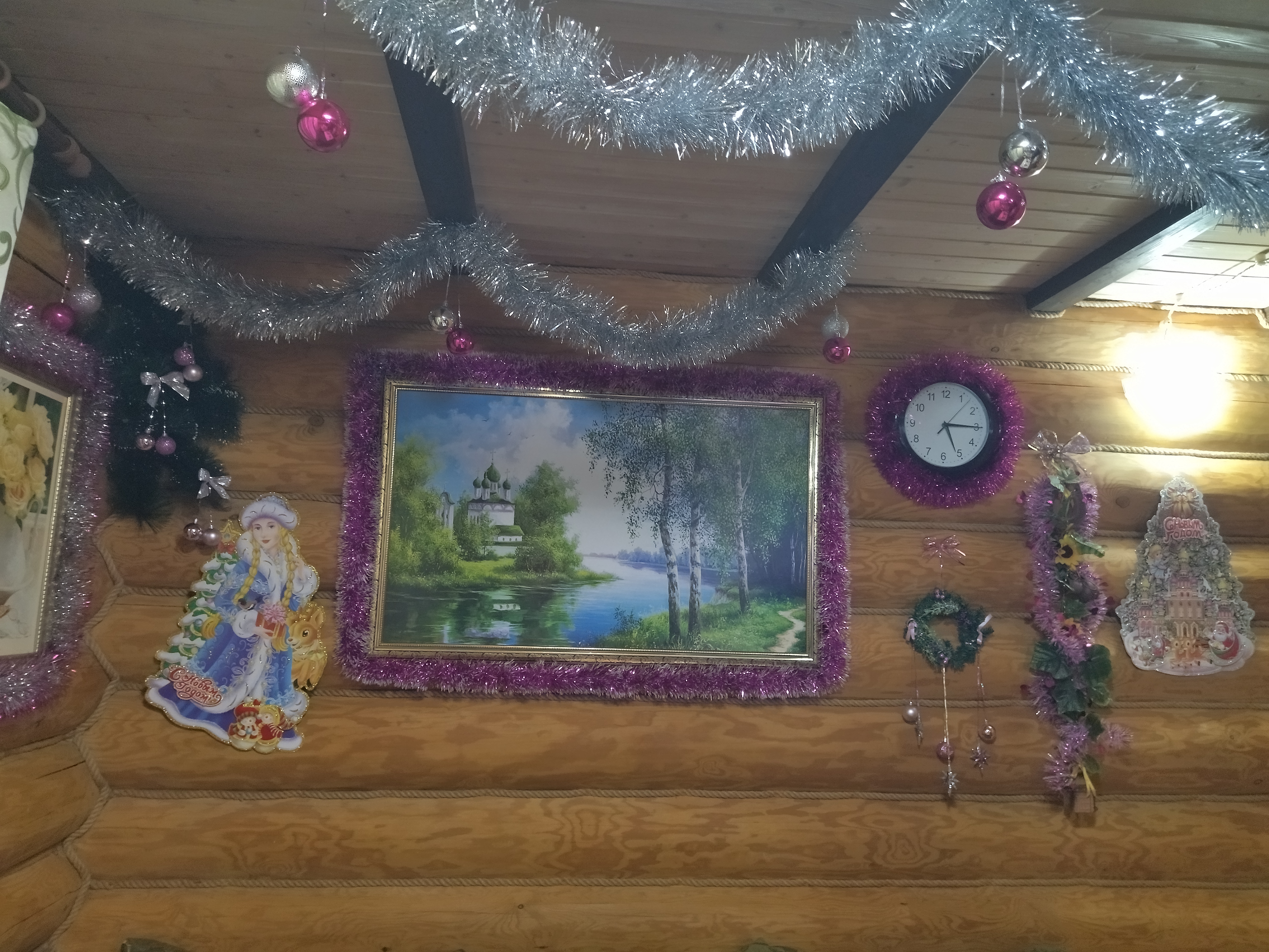 Фото Подсолнух