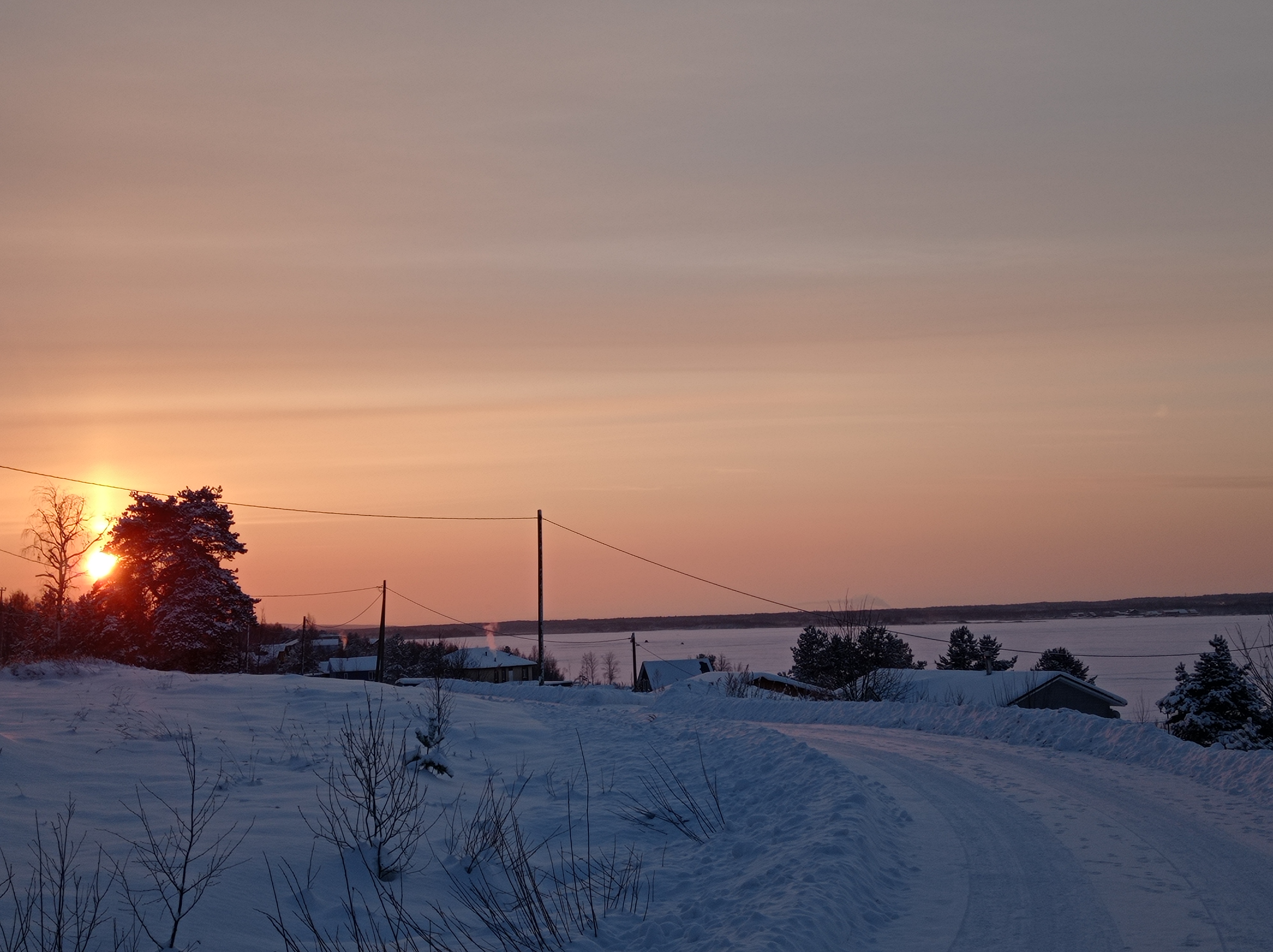 Фото У плотника