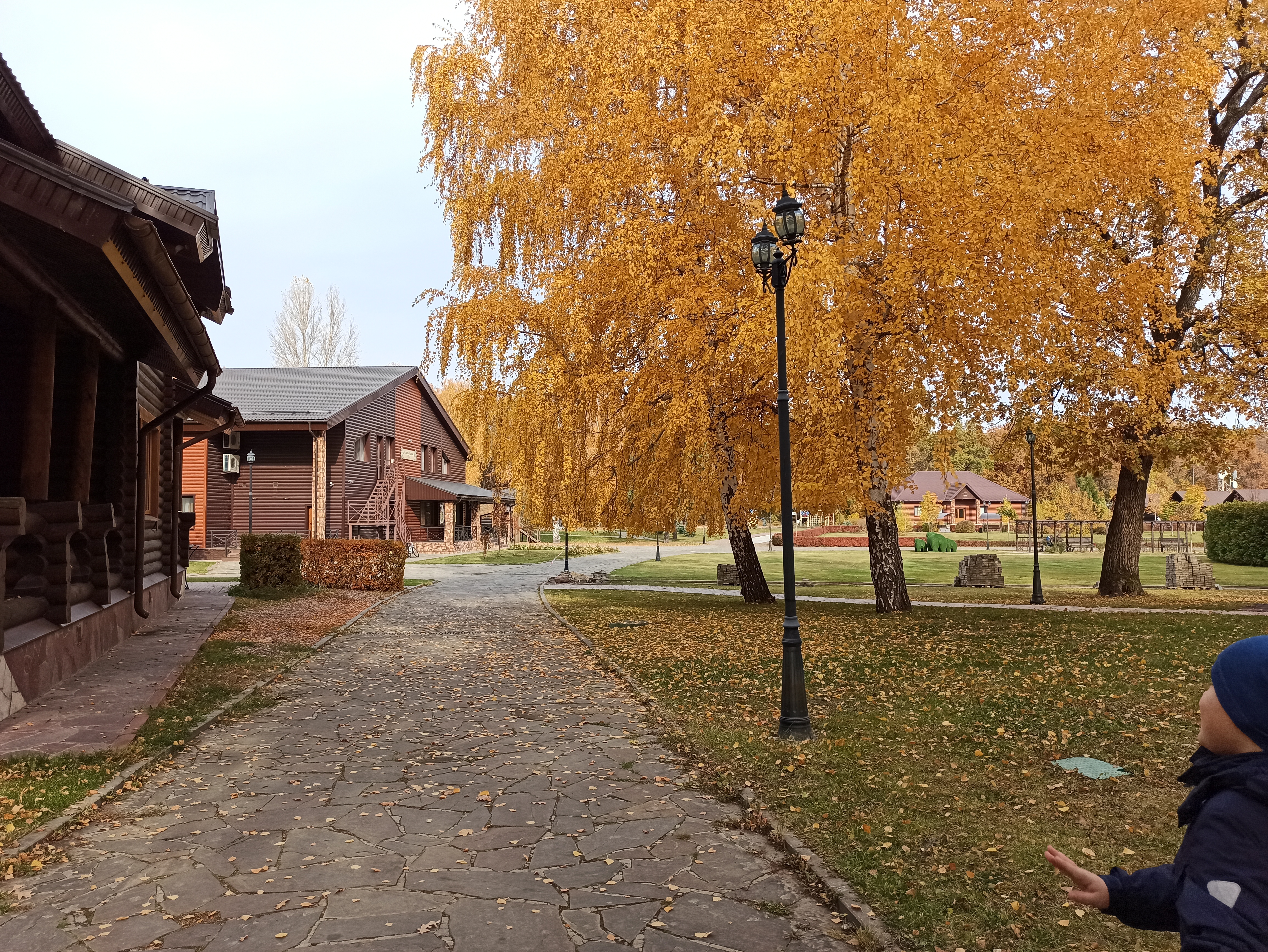 Фото Парк отель Васильевский