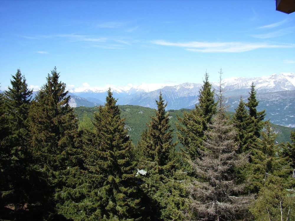 Фото Hotel Alpine Mugon