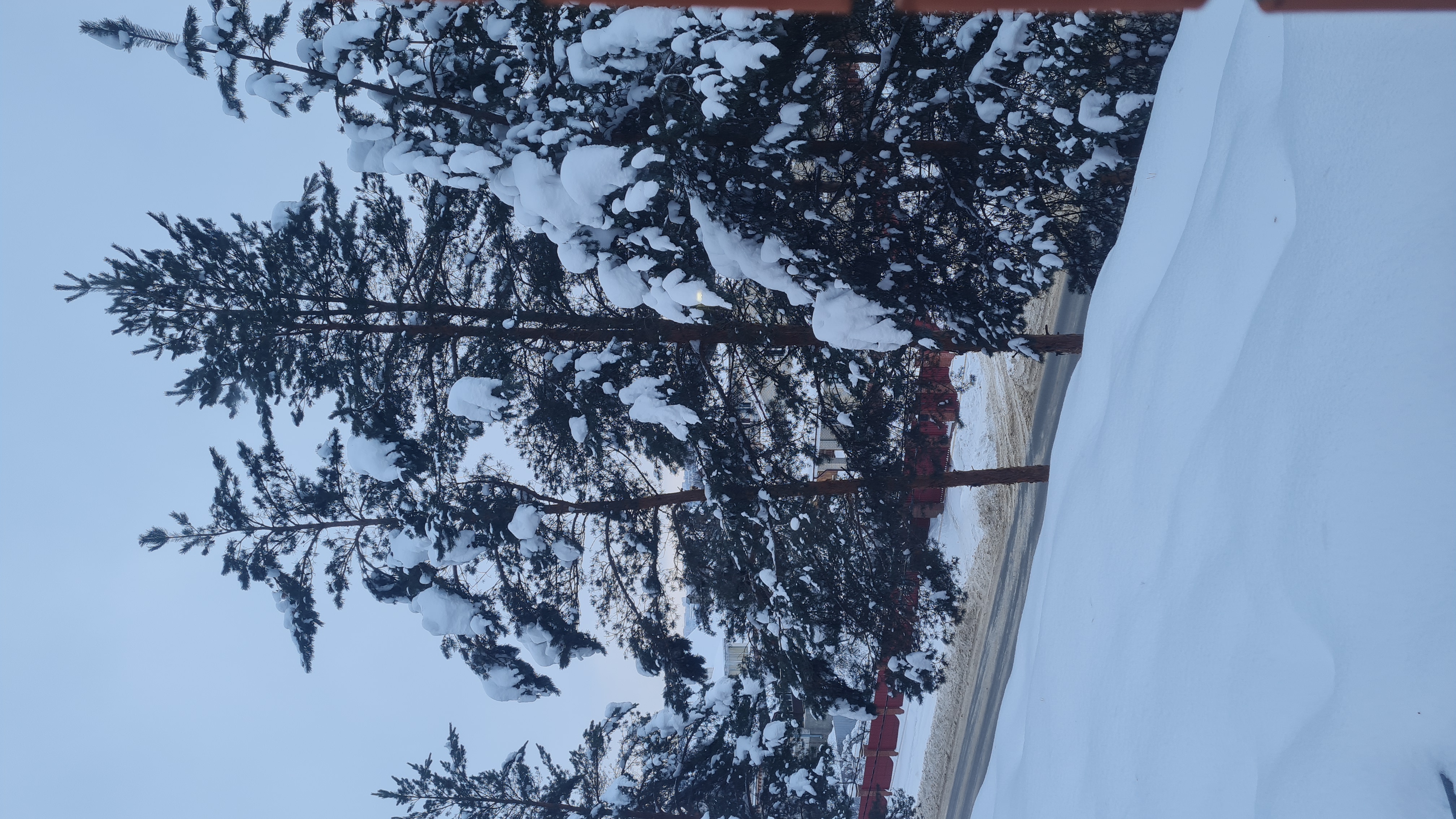 Фото Рубикон