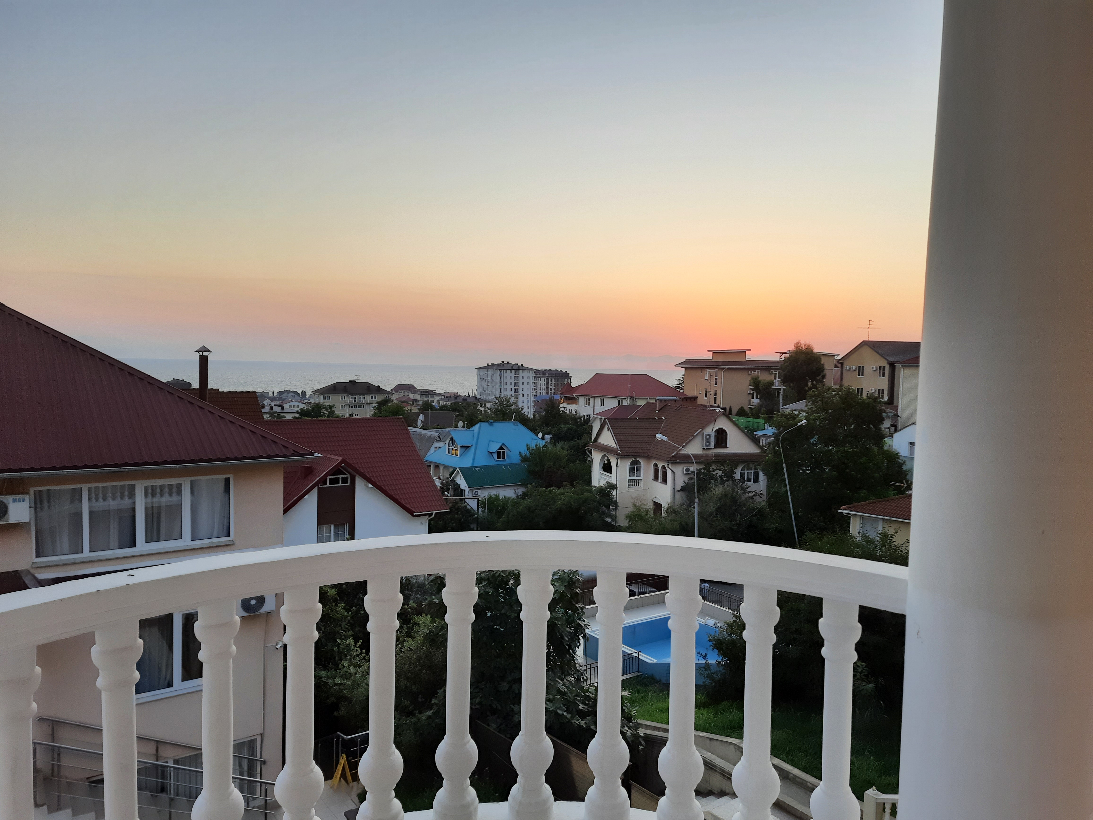 Фото Клевер