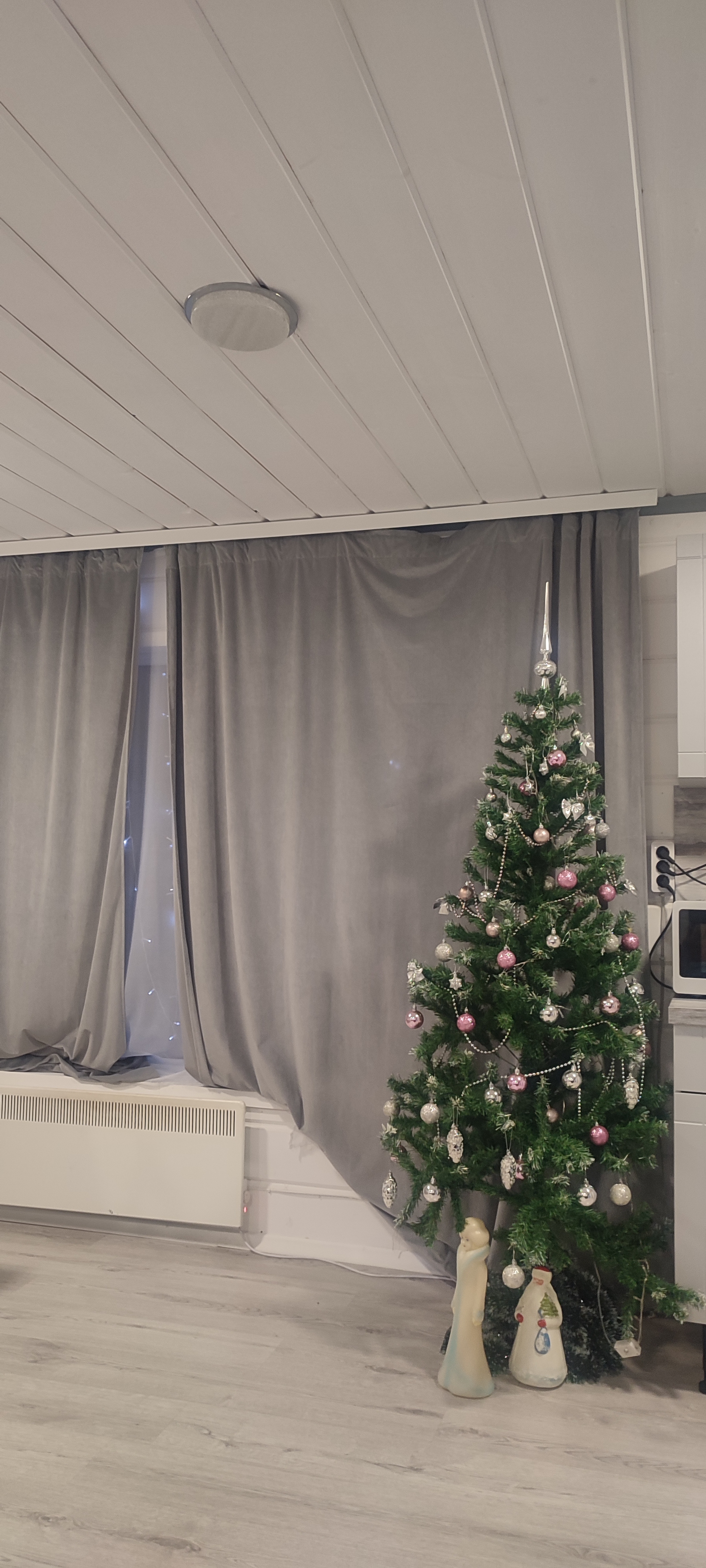 Фото Фортуна