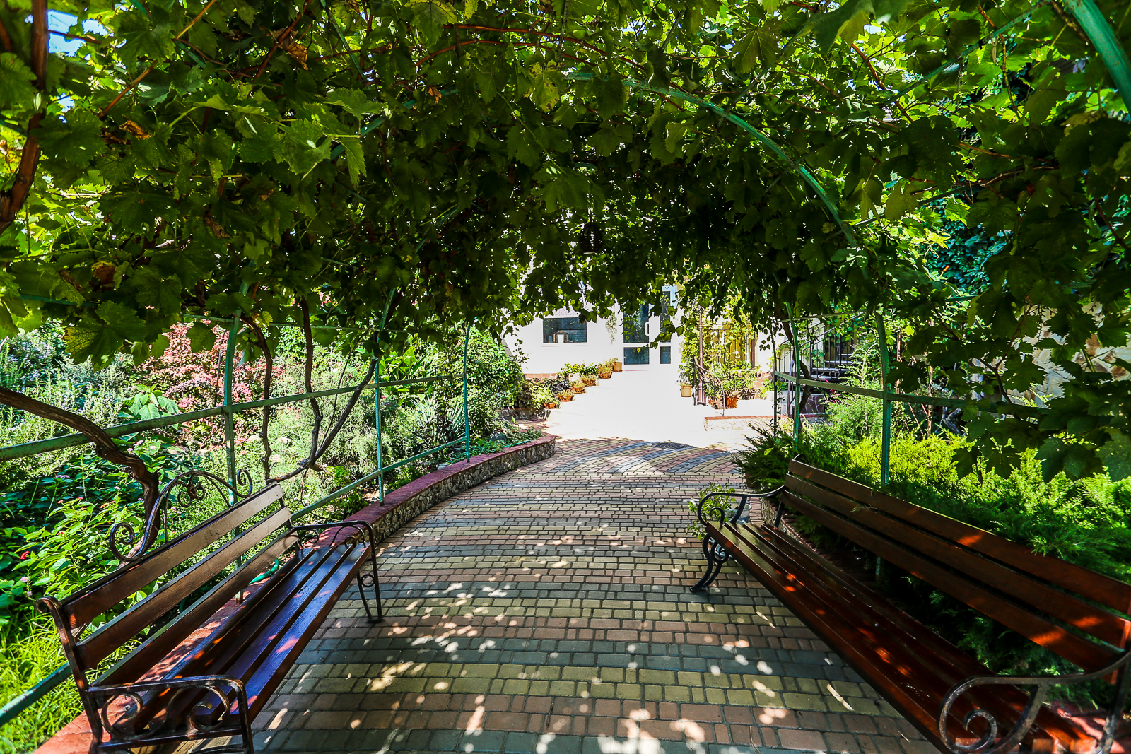 Фото Гостевой дом Ривьера