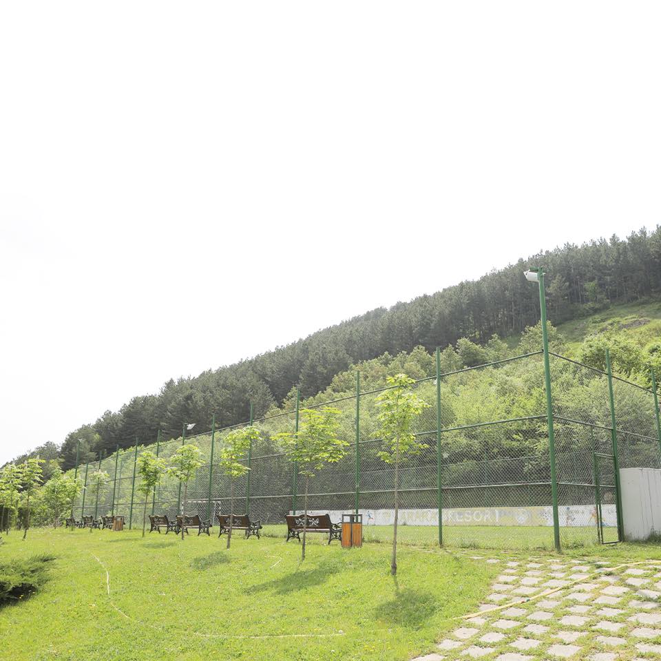 Фото Арарат Резорт