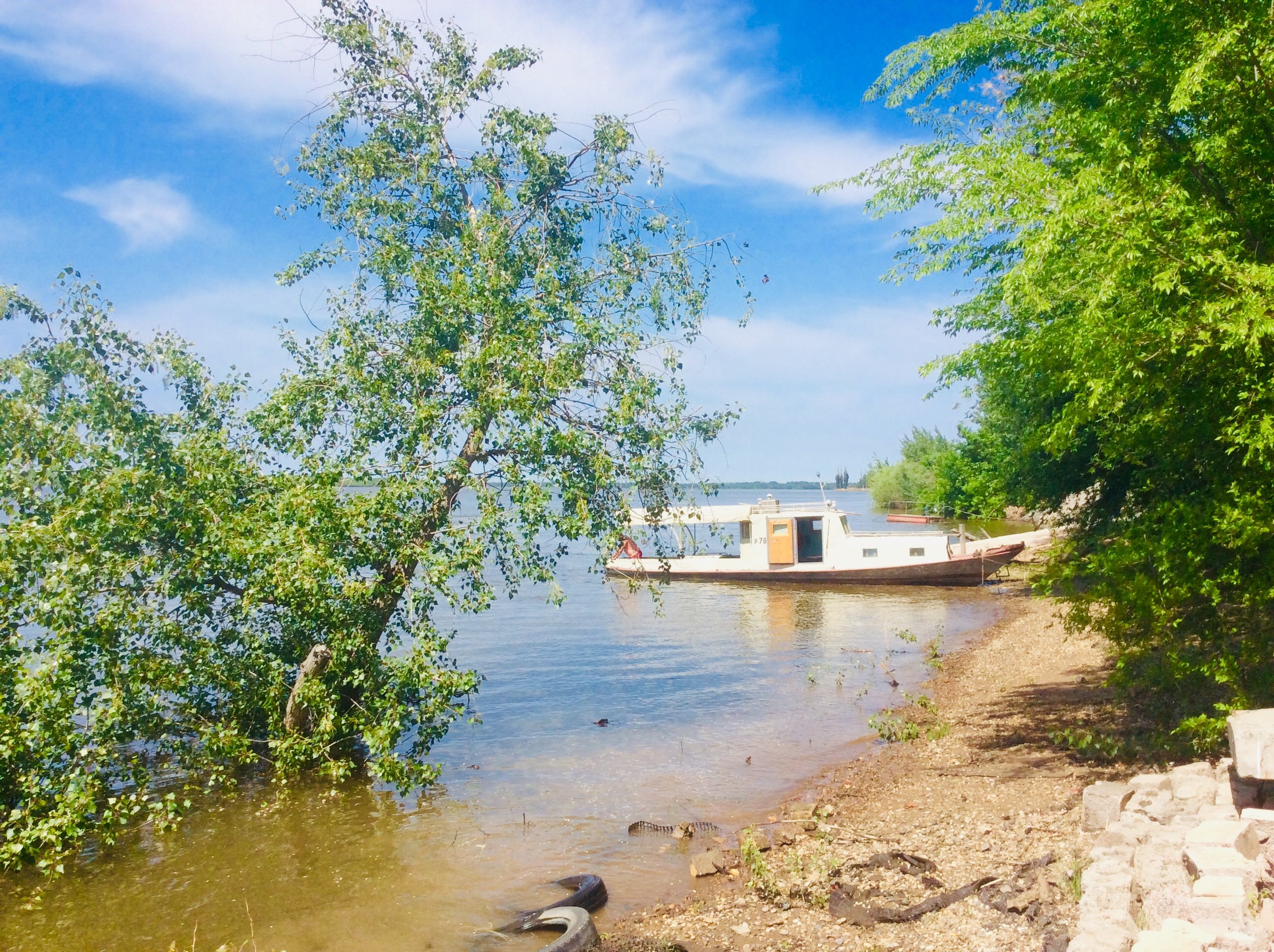 Фото Росинка