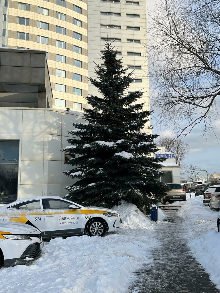 Кунцево мазда сервис