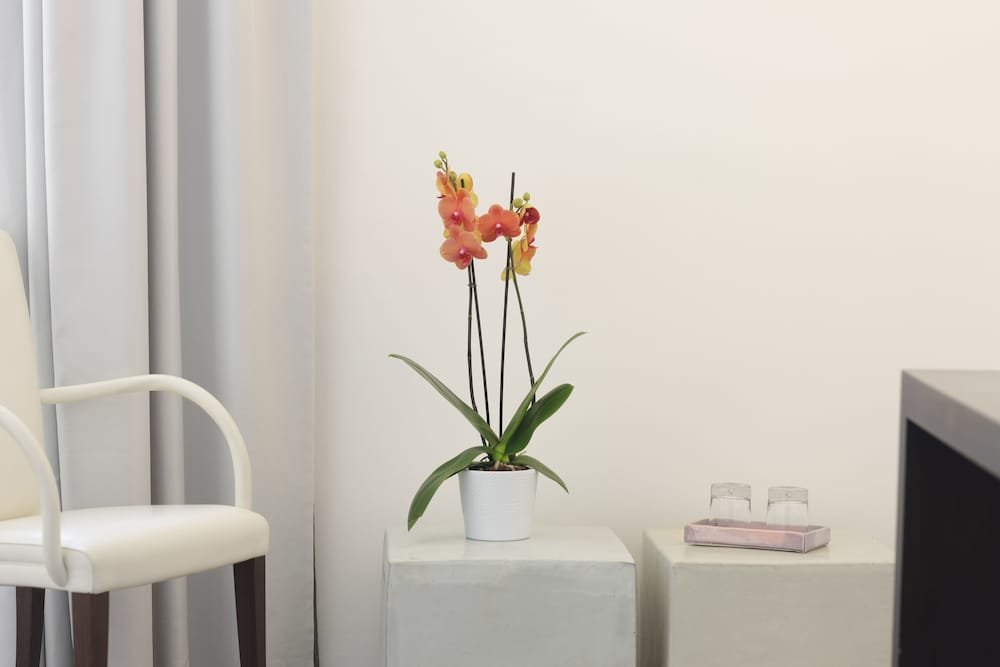 Фото Arco Vecchio