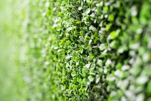 Хостел Optimi Rooms