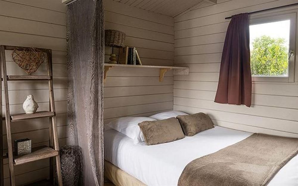 Фото 43223975157