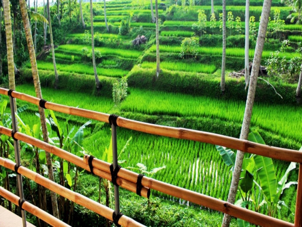 Фото Junjungan Suite Villa