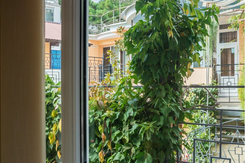 Фото Август