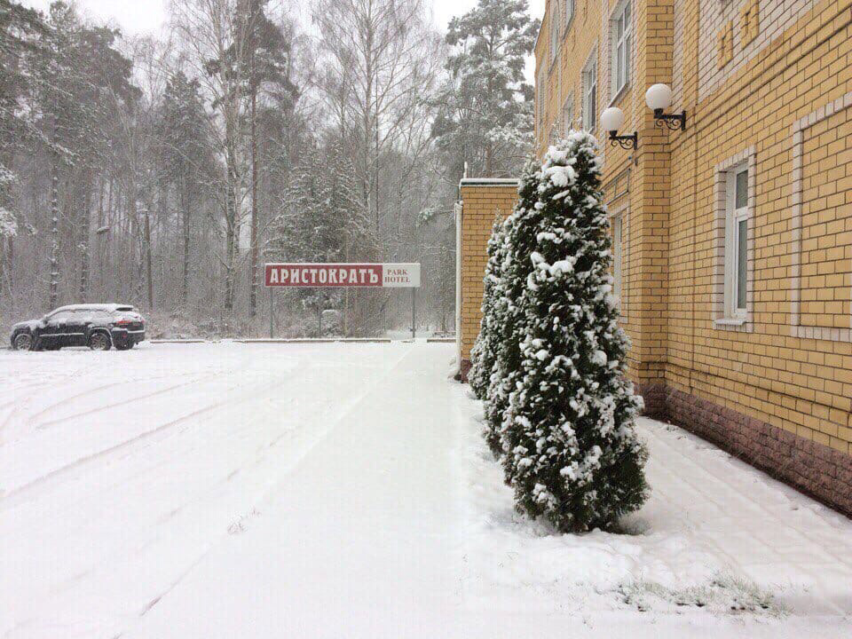 Фото Парк отель Аристократъ