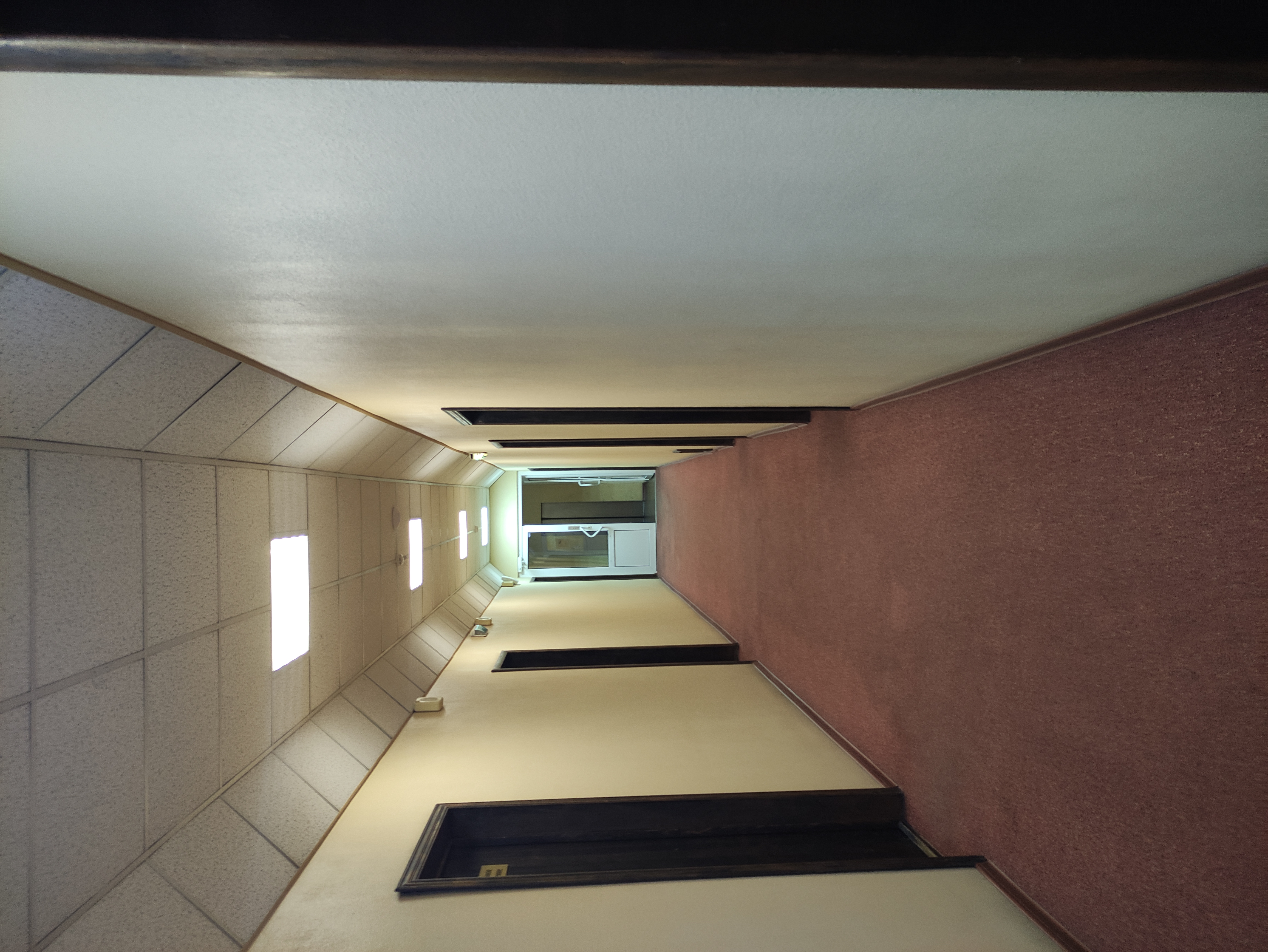 Фото Золотой Колос