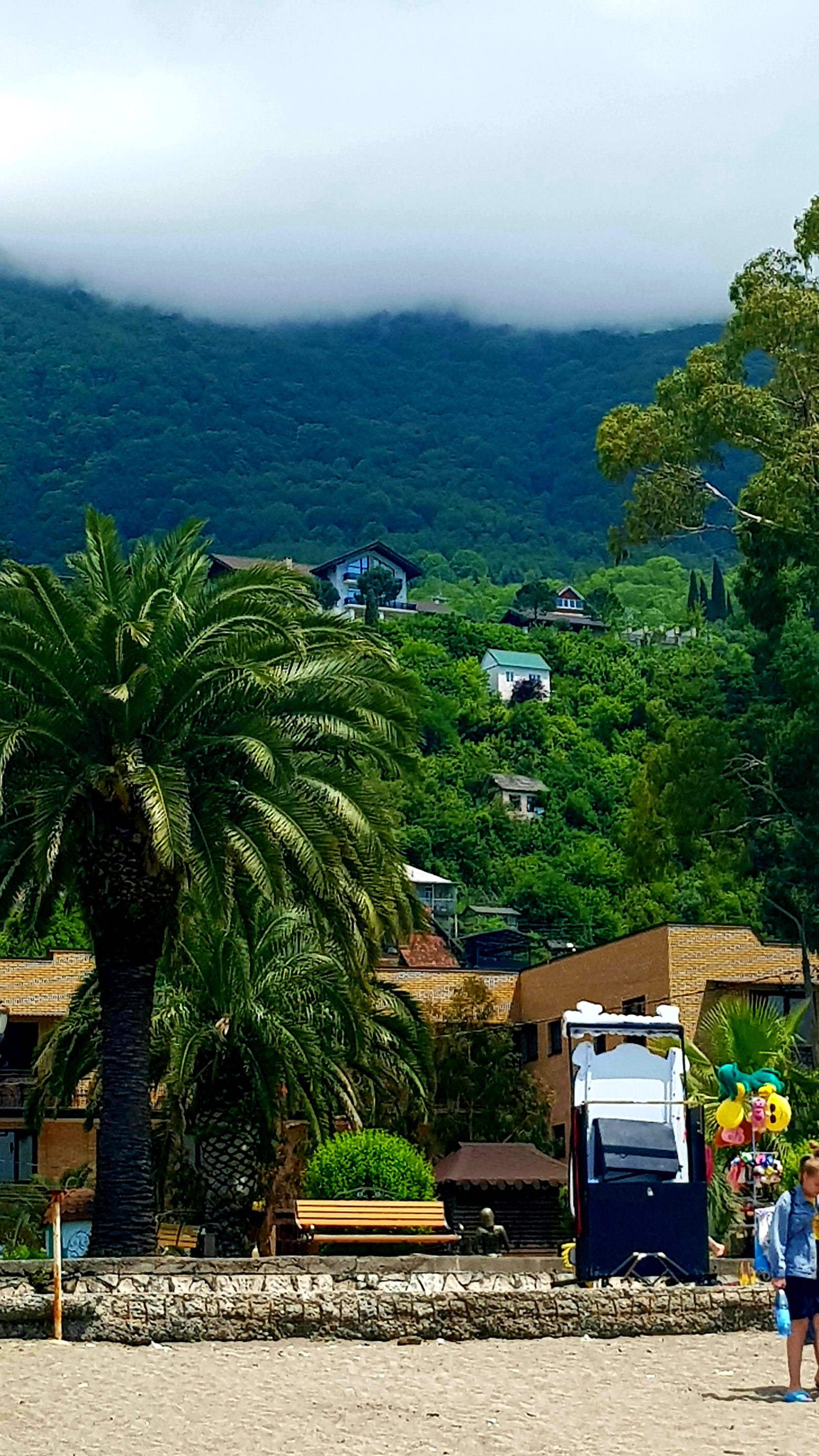 Фото Тихий Дон