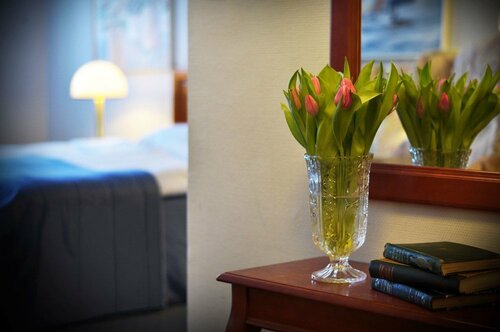 Гостиница Furunäset Hotell och Konferens в Питео
