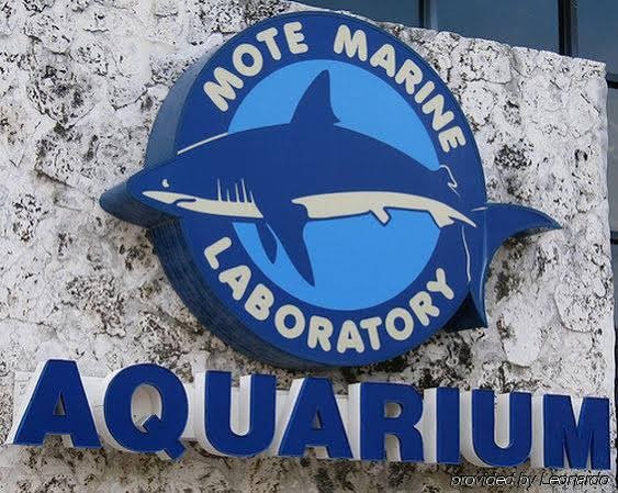 Фото Tropical Beach Resorts