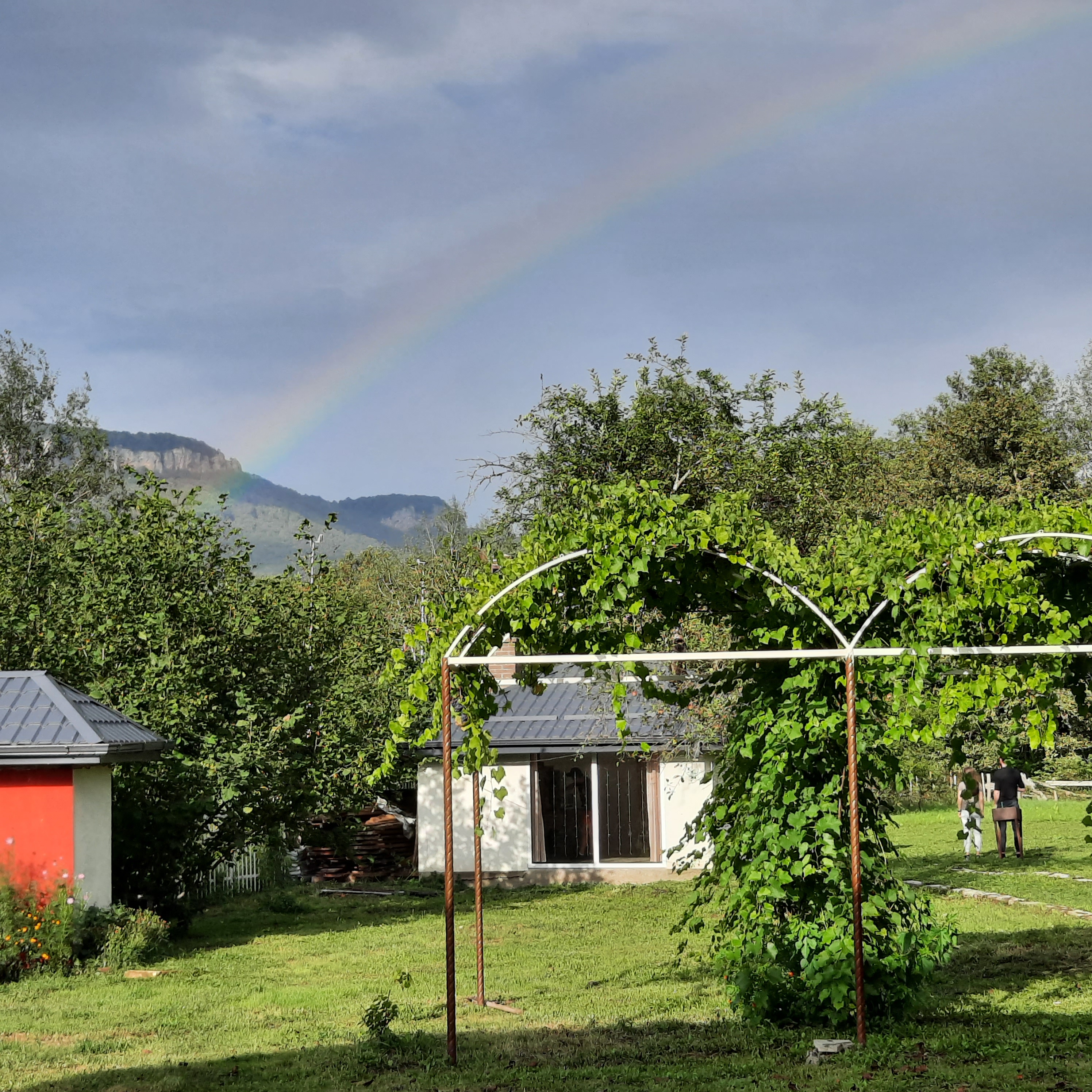 Фото Ореховая роща в Даховской