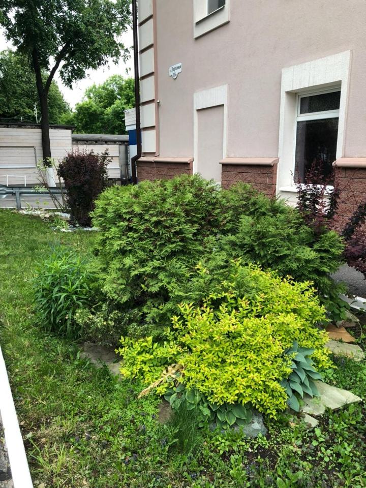 Фото Саврасовская