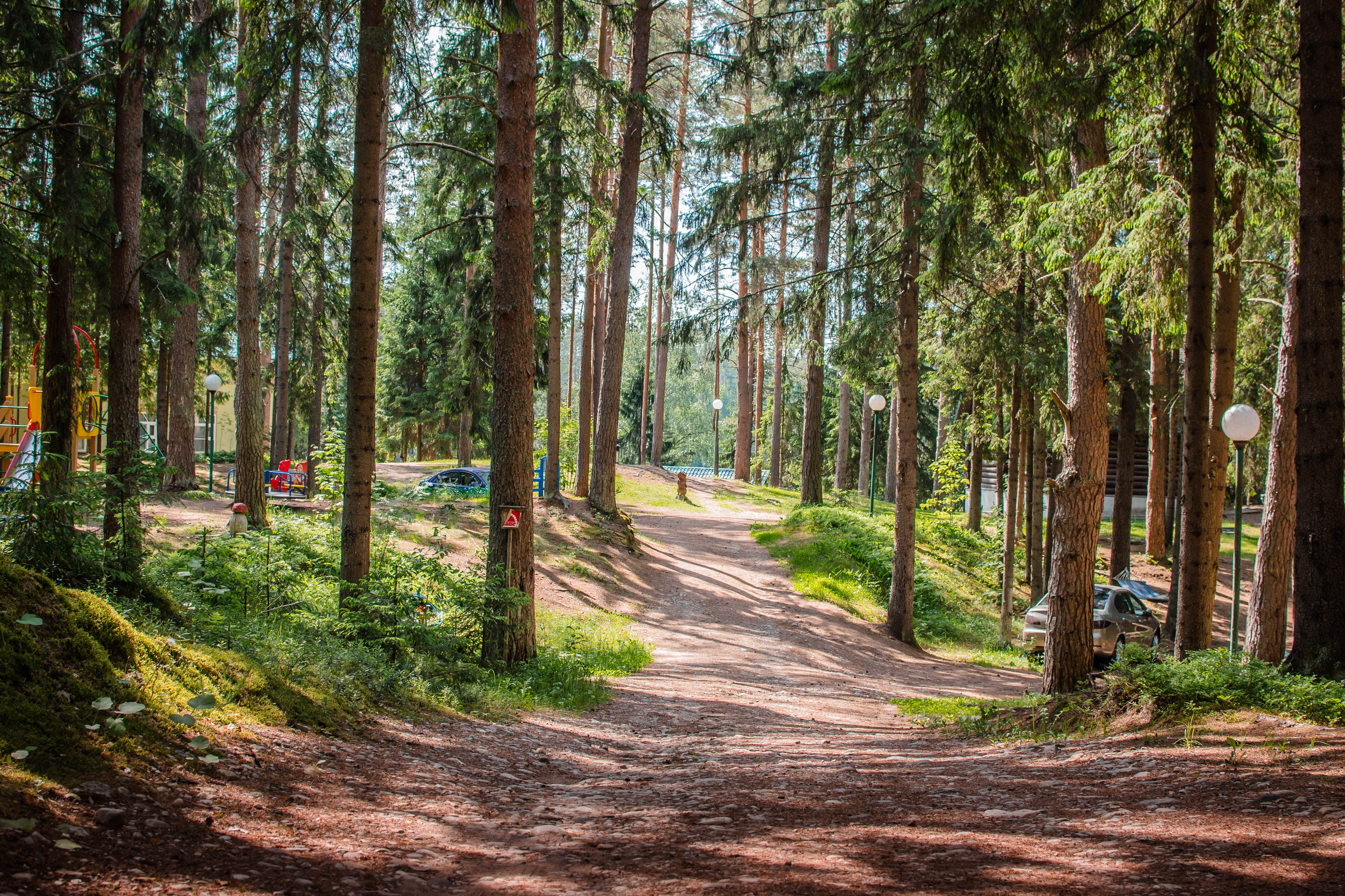Фото Берендеево царство