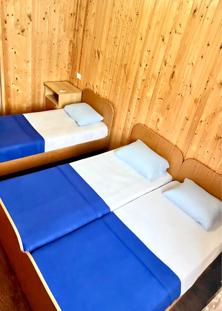 Фото Ласточка