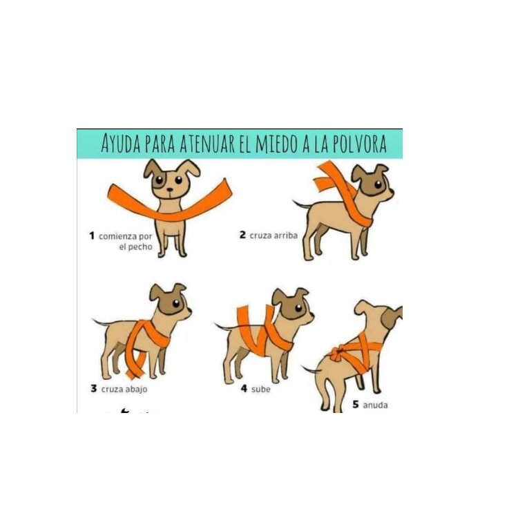 Animal nursery Franciscanes, Cundinamarca Department, photo