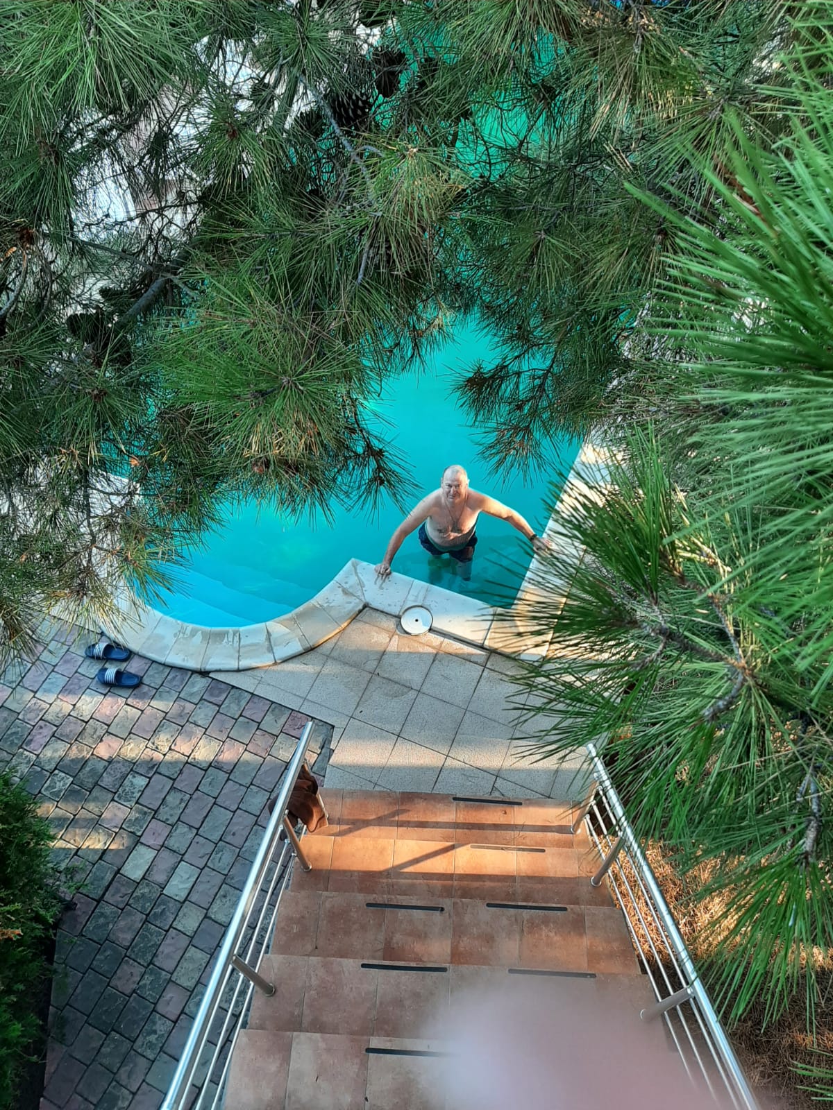 Фото Афалина