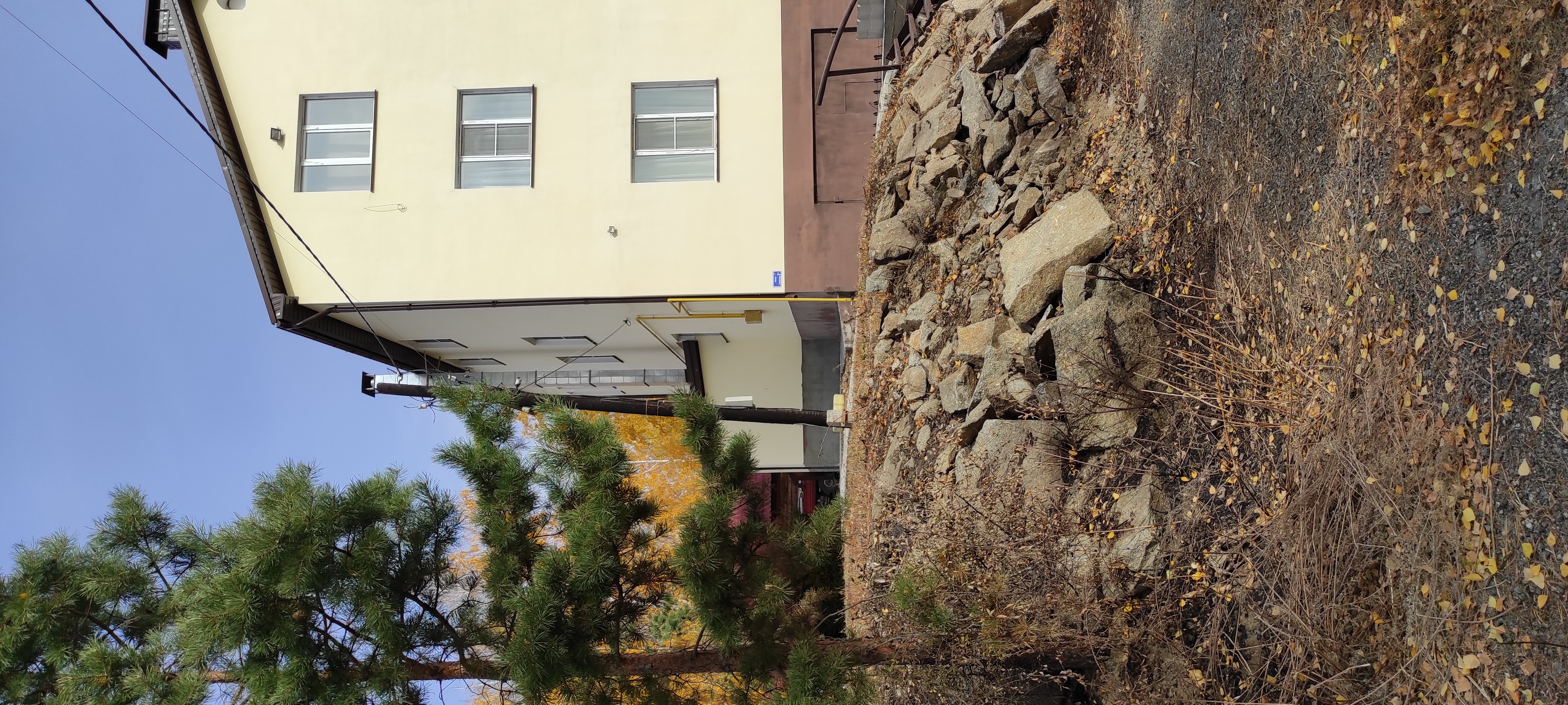 Фото Мичуринский