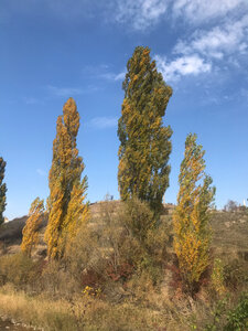 Мамут-Султан (Autonomous Republic of Crimea, Simferopolskiy rayon, selo Dobroye), atracción