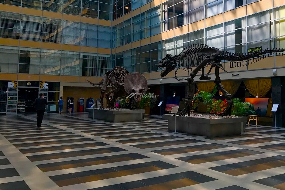 Industrial construction Nectonika, Moscow, photo