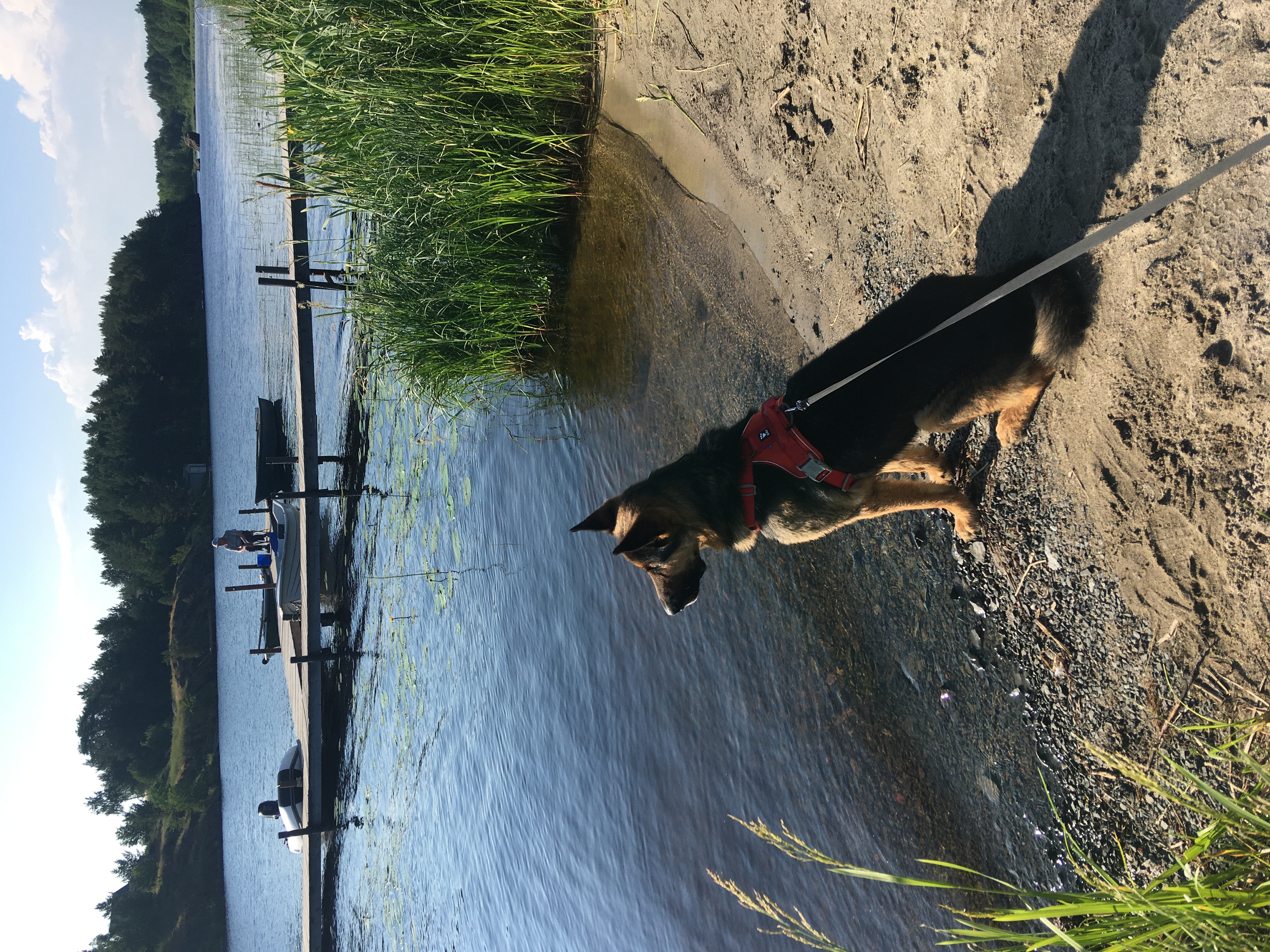 Фото У плотника