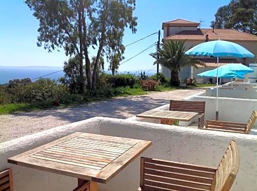 Фото 239591915500