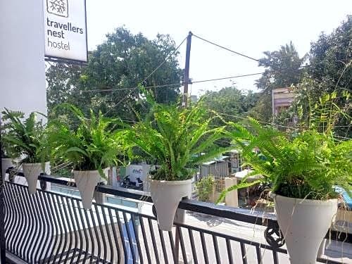 Фото Travellers Nest Hostel