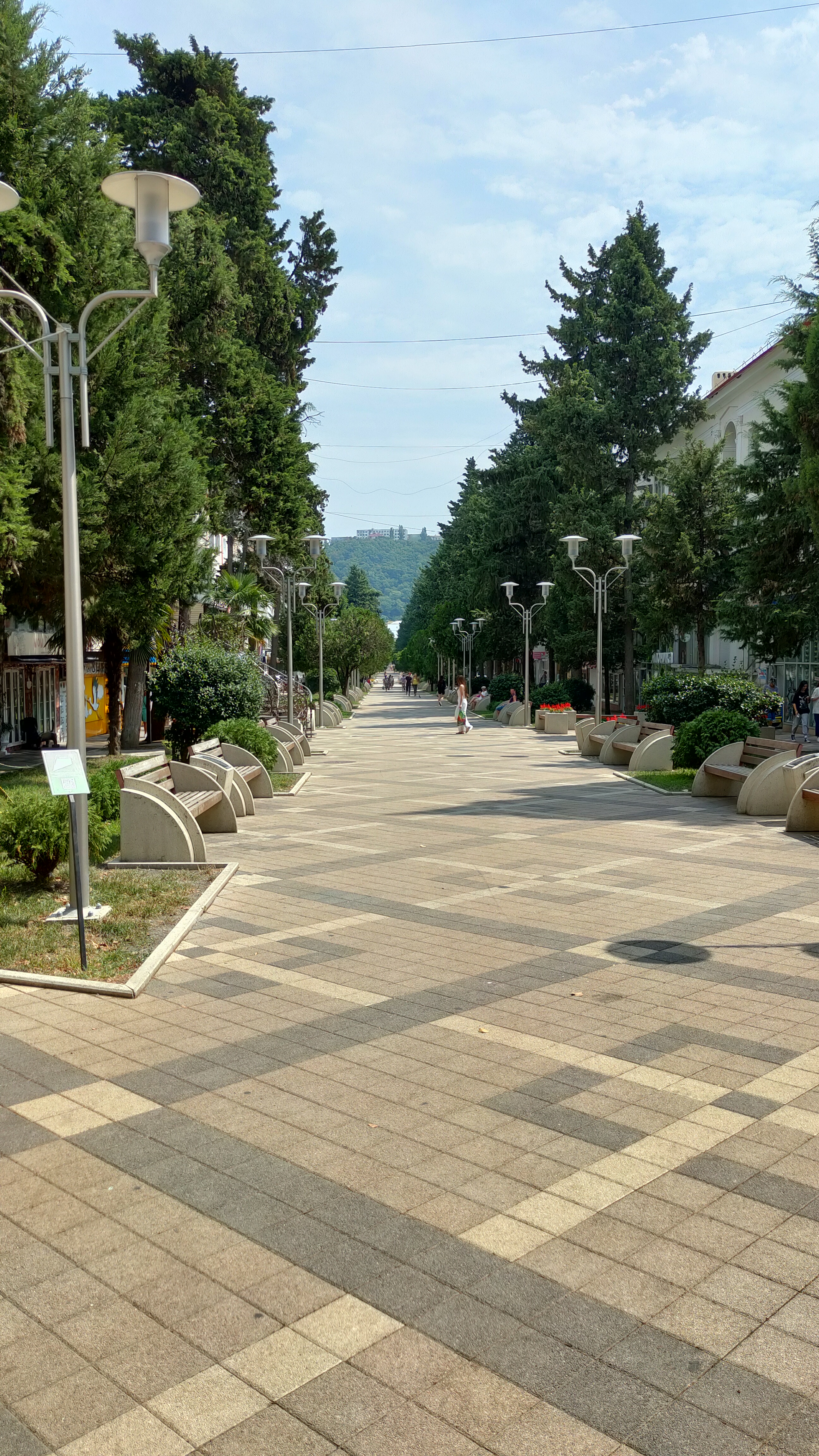 Фото Мироген