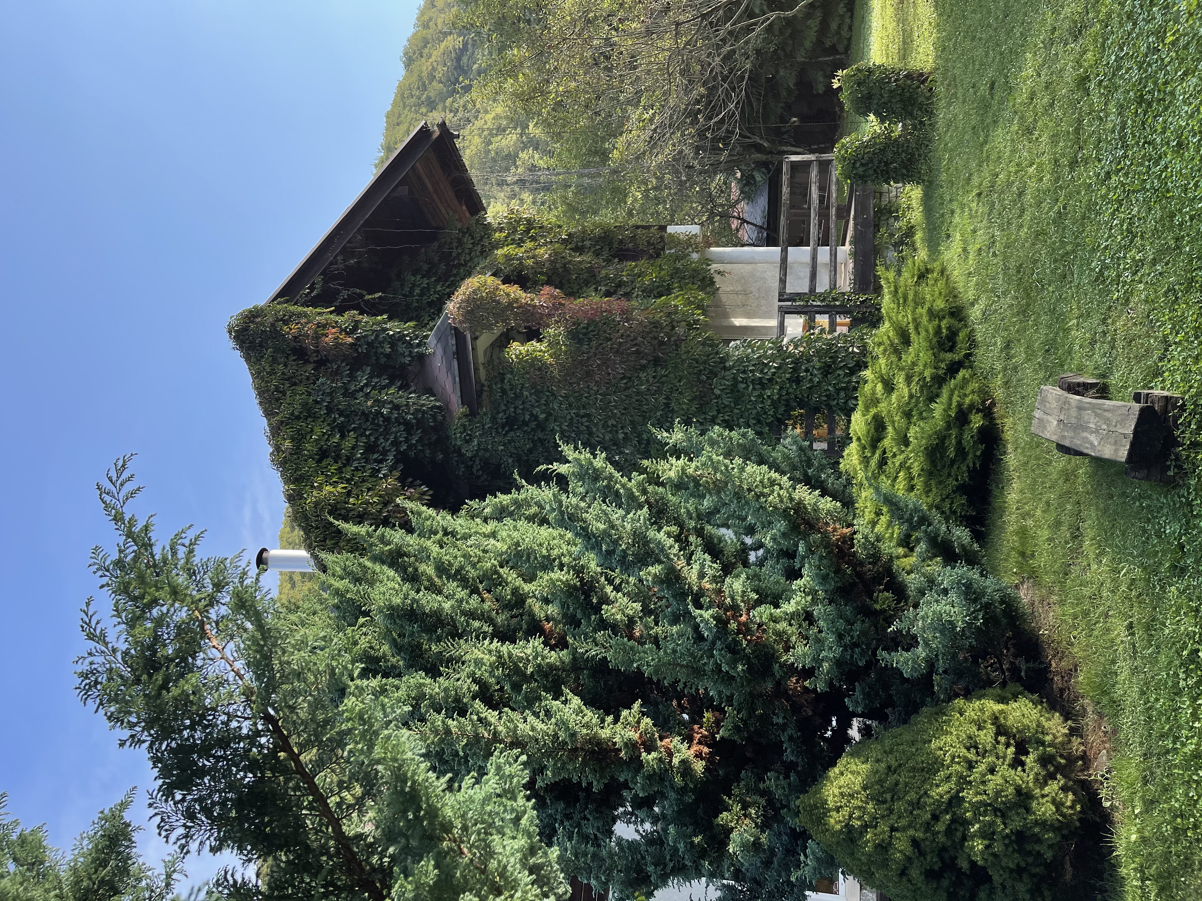 Фото Дом Тере