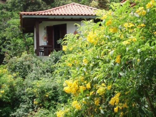 Фото Pousada Hibiscus Beach