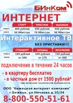 Bytovaya tekhnika, set magazinov (ulitsa Nechayeva, 35/34), internet service provider