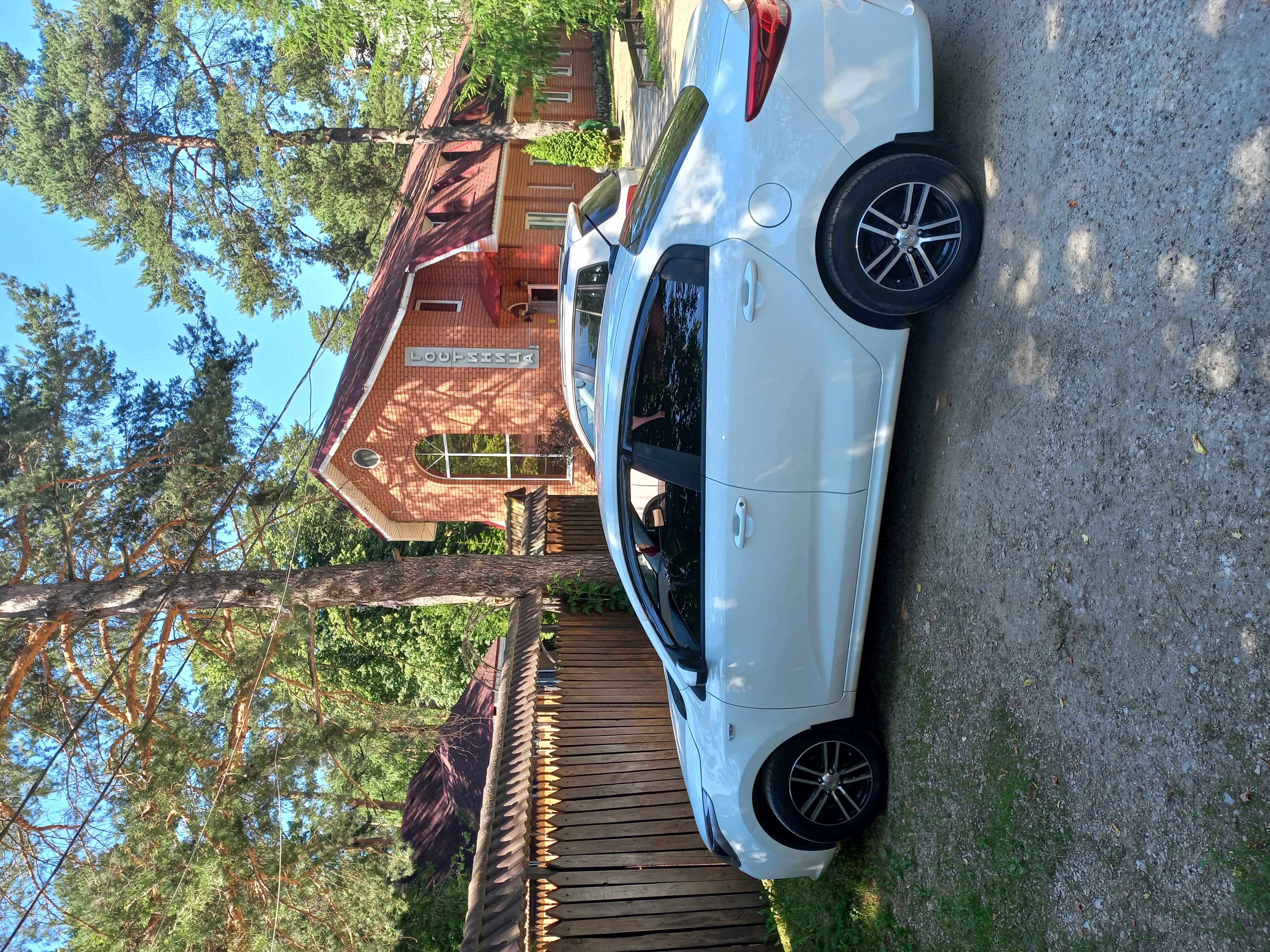 Фото Сосновый Бор